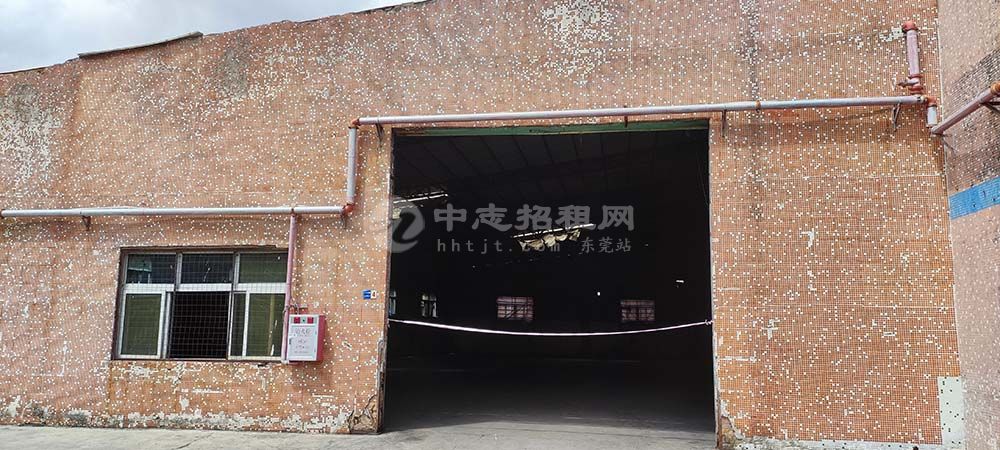 大嶺山大沙村單層鋼構廠房出租930平米